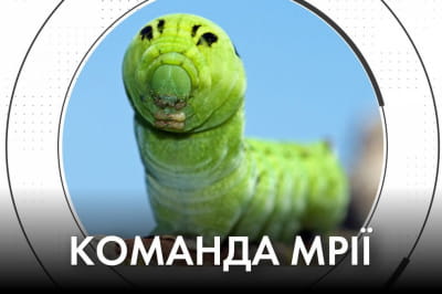 "Час Ч"
