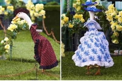 Модный показ уток