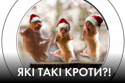 "Час Ч"