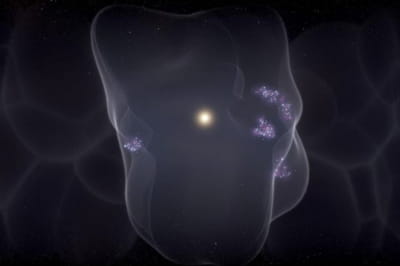 Местный пузырь