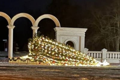 Ялинка впала у Білопіллі