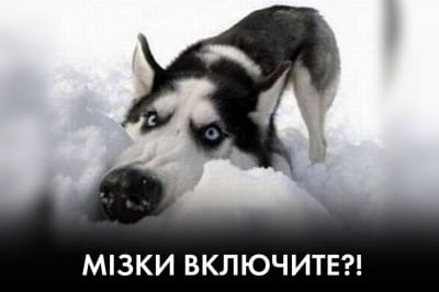 "Час Ч" – весна далеко,  саджати будете?