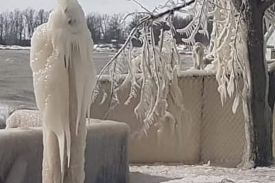 Фігури у Канаді 