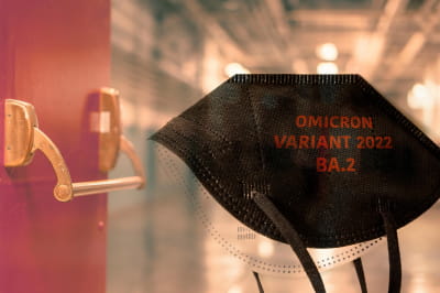 Омікрон ВА.2