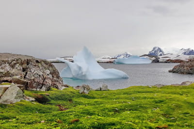 Рекордна температура в Антарктиді 