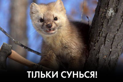 "Час Ч"
