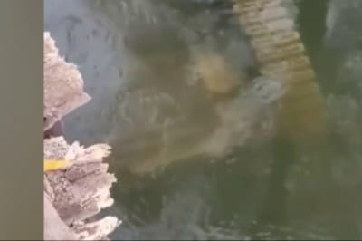 Танк російських окупантів курйозно втопився на мілині 