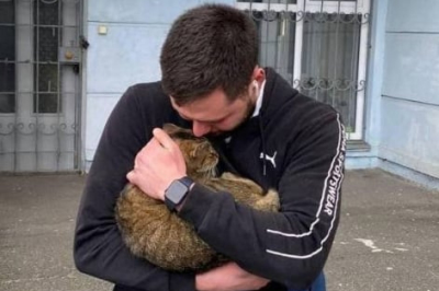 История спасения кота из Бучи