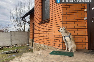 Історія собаки та господарки