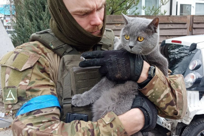 украинские актеры, вставшие на защиту своей Родины в войне