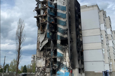 Кіт у зруйнованому будинку