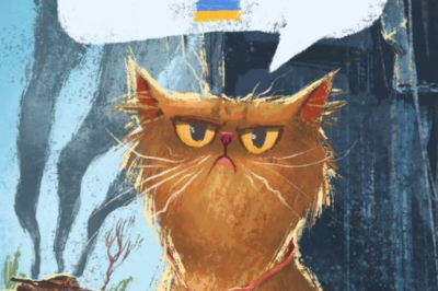 украинцы создают мемы о котике из Бородянки