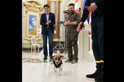 Трюдо, Зеленський і Патрон