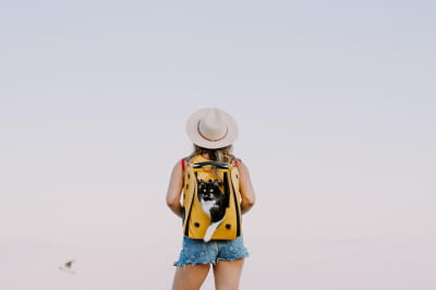 Женщина с кошкой 