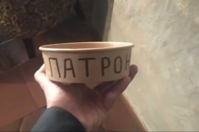 на olx продают миску, из которой пил пес-сапер Патрон