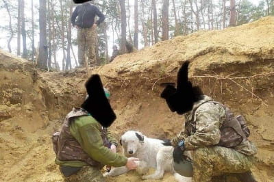 Бім і військові