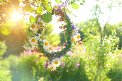 Венок из дикого цветка