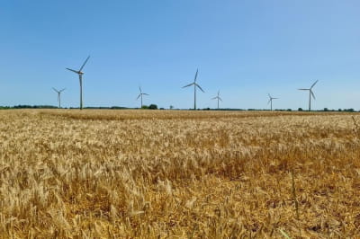 Вітрова електростанція