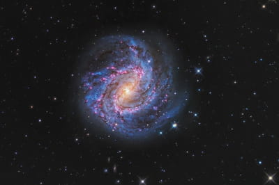 фотографии, в реальность которых трудно поверить