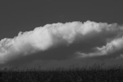 Кадр з відео