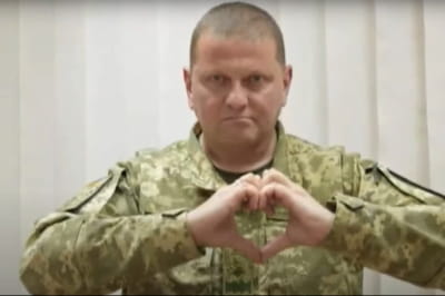 Залужный