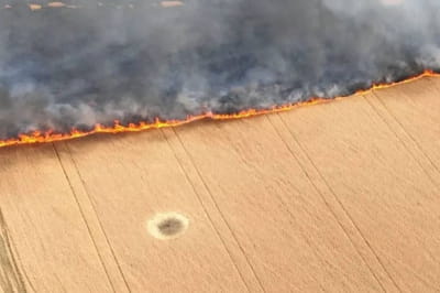 Войска рф умышленно поджигают украинские поля снарядами