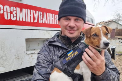 Дмитро Комаров 