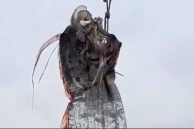 в Чили рыбаки поймали 5-метровую сельдь