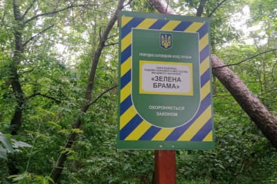 "Зелена брама"