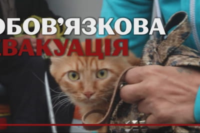 Евакуація