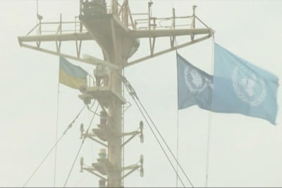 Экспорт зерна