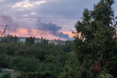 бавовна у Козацькому