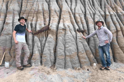 Виявлена скам'янілість 