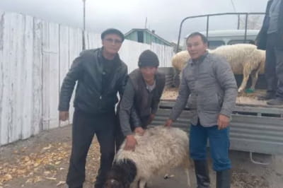 республіка Тува