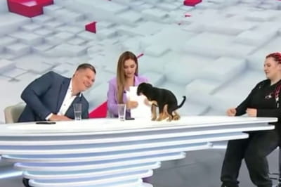 Эфир телемарафона "Єдині новини"