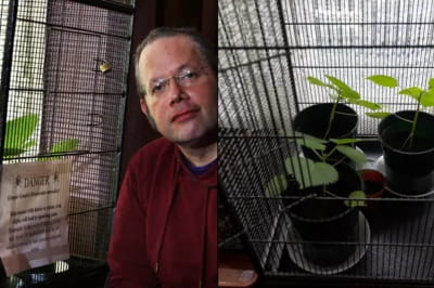 Дэниел Эмлин-Джонс и его растение