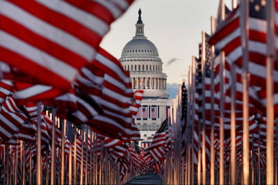 Вибори у США