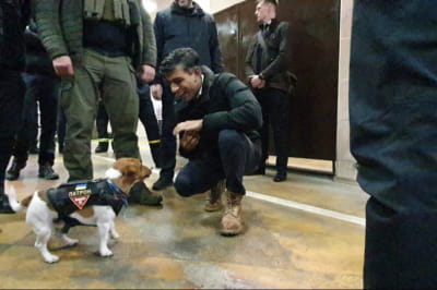 Сунок и Патрон