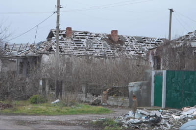 Снігурівщина