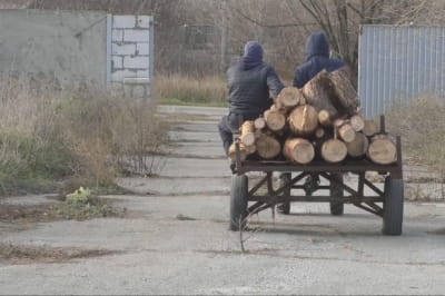 дрова 