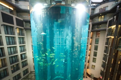 У Берліні в готелі лопнув 16-метровий акваріум, в якому був 1 літр води 