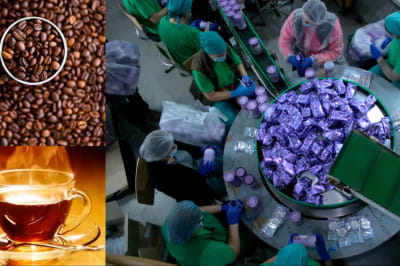 производство чая