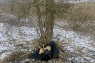 Інцидент у Київській області