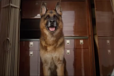 "Миллионы Гюнтера"