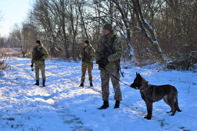 Пошук ухилянта