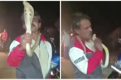 Чоловік і кобра