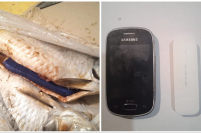 Роутер і смартфон