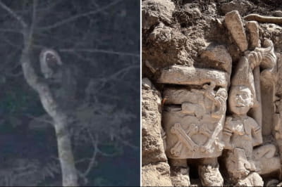 Президент Мексики опублікував фото ельфа з фольклору майя