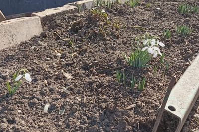 Новогригорівка