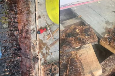 Фото будинка